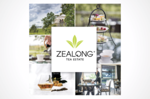 Zealong Teaのアイキャッチ